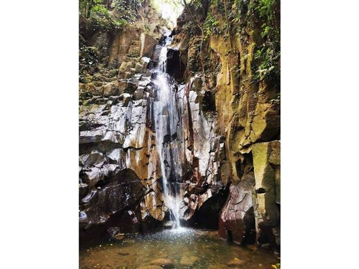 Rustik ya da çiftlik Colon, Mora