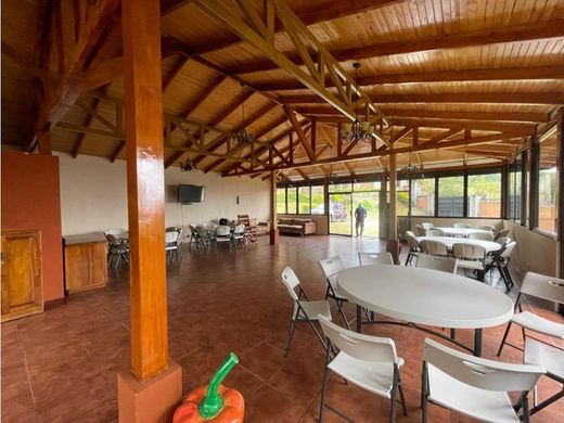 Rustykalny lub Wiejski w Carrizal, Cantón de Alajuela