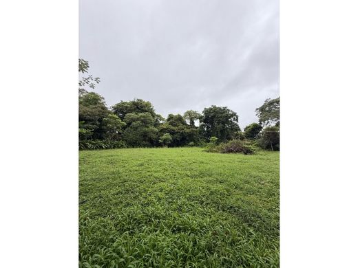 Land in Santa Ana, Provincia de San José