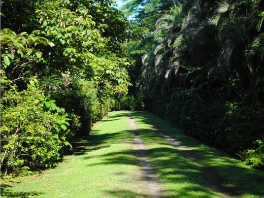 Land in Liberia, Provincia de Guanacaste
