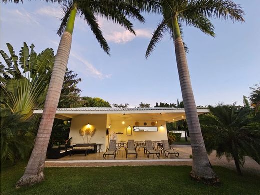 ‏דירה ב  Tamarindo, Santa Cruz