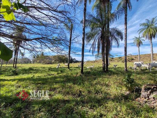 Boerderij in Dos de Abangares, Abangares