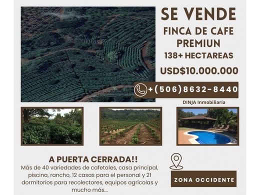 Rustik ya da çiftlik Altamira, San Carlos