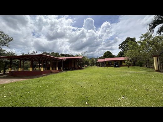 Farmhouse in Quesada, San Carlos