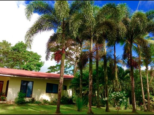 Propriété de campagne à La Fortuna, San Carlos