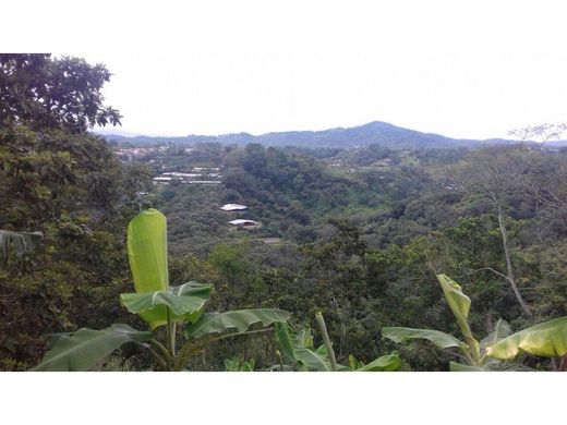 Ρουστίκ ή αγροικία σε Naranjo, Provincia de Alajuela