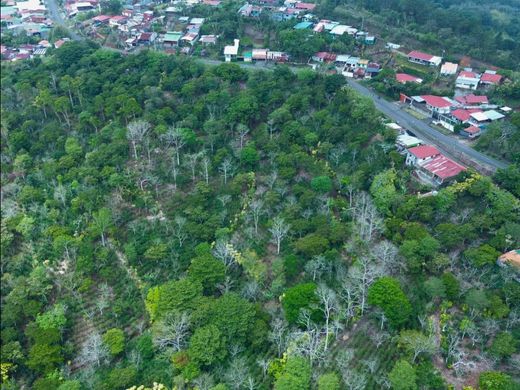 Quinta rústica - San Ramón, Provincia de Alajuela