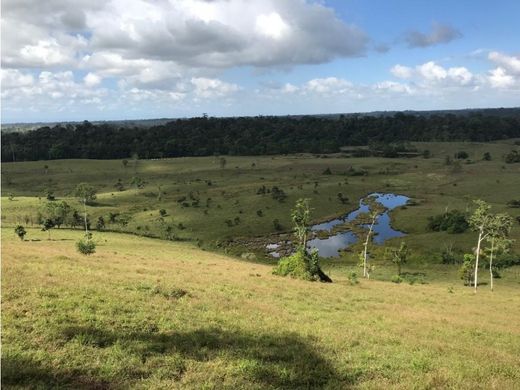 ﻣﻨﺰﻝ ﺭﻳﻔﻲ/ ﺑﻴﺖ ﻤﺰﺭﻋﺔ ﻓﻲ Quesada, San Carlos