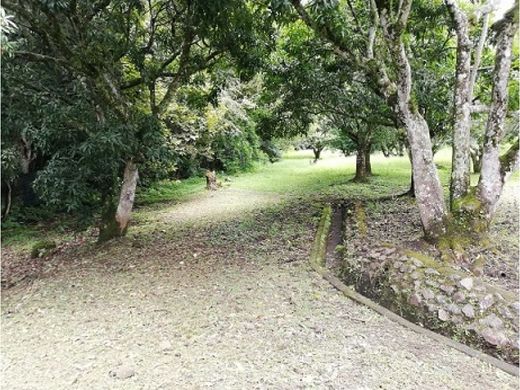 Boerderij in Santa Ana, Provincia de San José