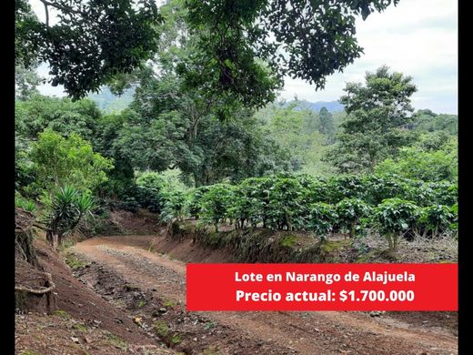 أرض ﻓﻲ Naranjo, Provincia de Alajuela