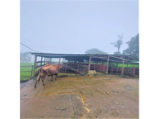 Gutshaus oder Landhaus in Zarcero, Provincia de Alajuela