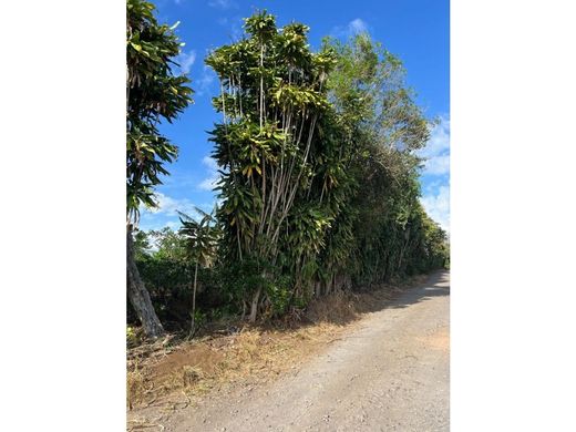 토지 / 산호세, Cantón de San José