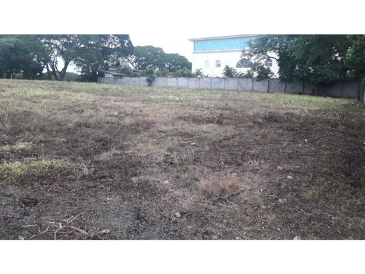 토지 / Santa Ana, Provincia de San José