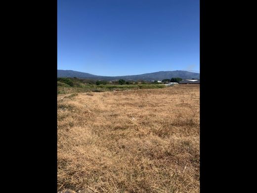 Terreno en Alajuela, Cantón de Alajuela