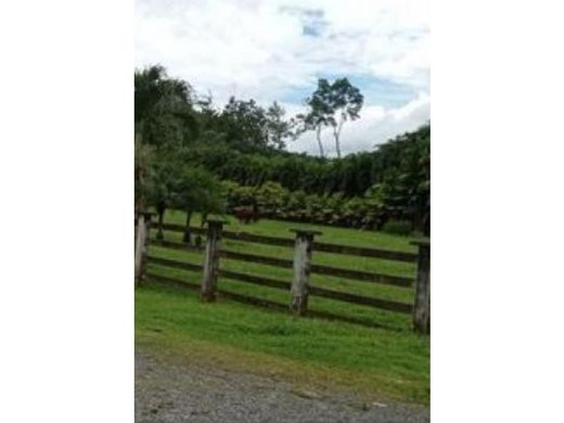 Land in Heredia, Cantón de Heredia