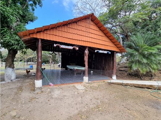 Cañas, Provincia de Guanacasteのカントリー風またはファームハウス