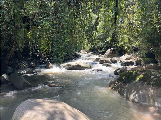 Land for sale in San Isidro del General