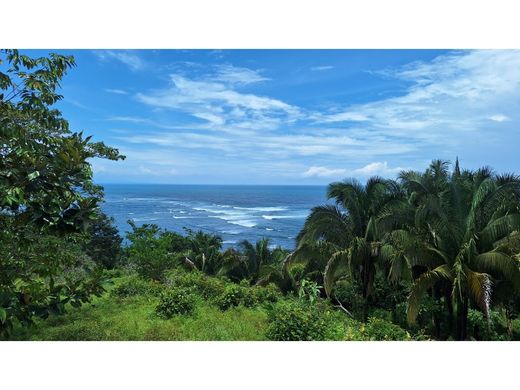 Farmhouse in Parrita, Provincia de Puntarenas