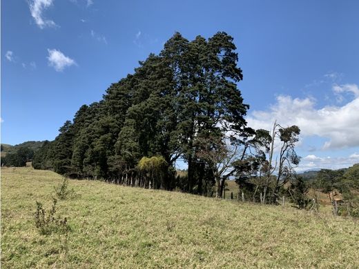 Участок, Ochomogo, Cantón de Cartago