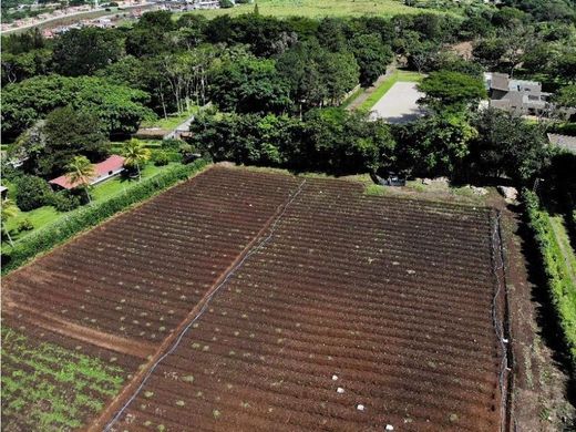 Land in San Rafael, Carrillo