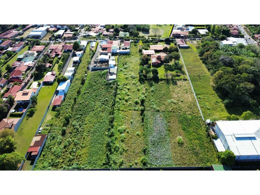 Teren w Belén, Carrillo