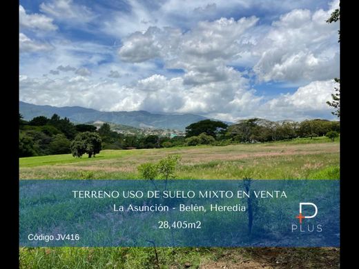 Land for sale in Belén