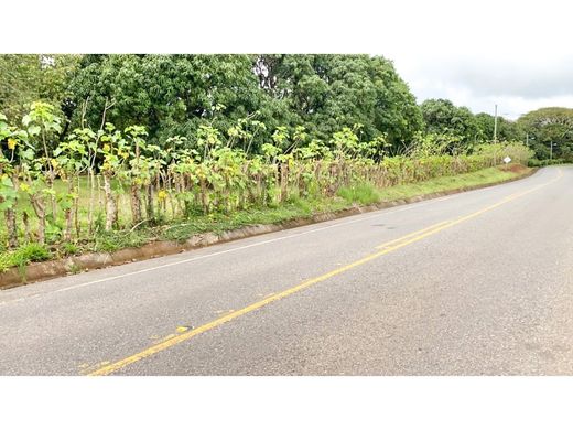 Land in Orotina, Provincia de Alajuela