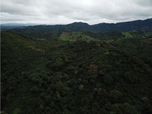 Terreno a Cañas, Provincia de Guanacaste