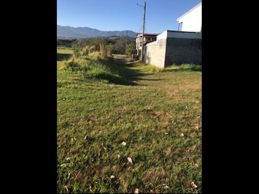 Teren w Belén, Carrillo