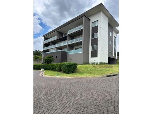 Daire Santa Ana, Provincia de San José