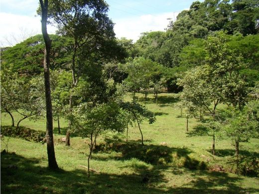 Gutshaus oder Landhaus in Orotina, Provincia de Alajuela