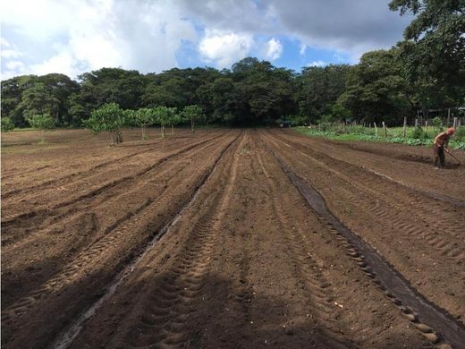 Rustik ya da çiftlik Liberia, Provincia de Guanacaste