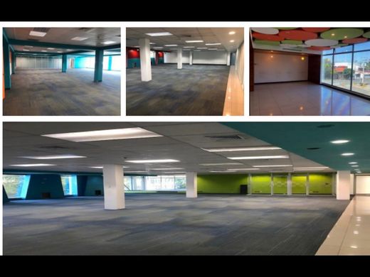 Office in Santa Ana, Provincia de San José