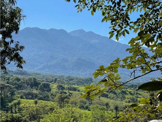 Teren w San José, Cantón de San José