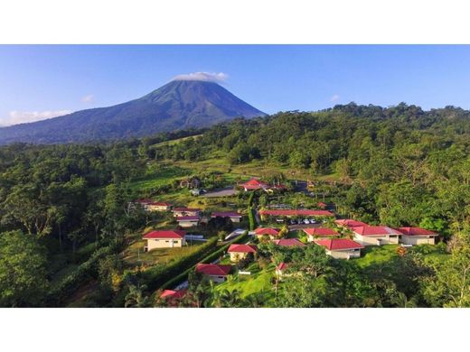 宾馆/酒店  Quesada, San Carlos