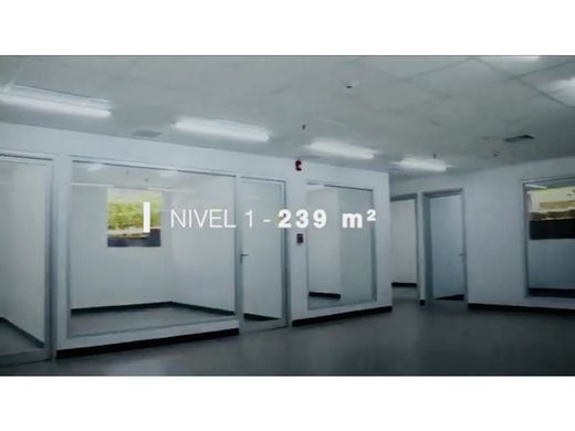 사무실 / Escazú, Provincia de San José