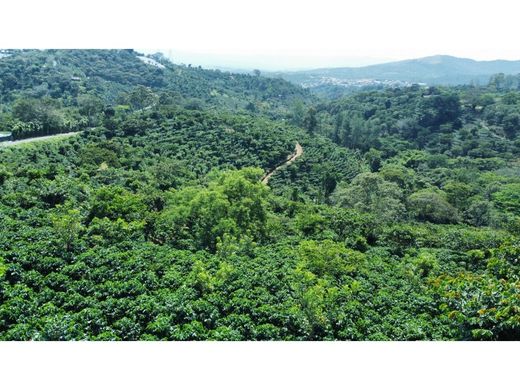 Cortijo o casa de campo en Naranjo, Provincia de Alajuela