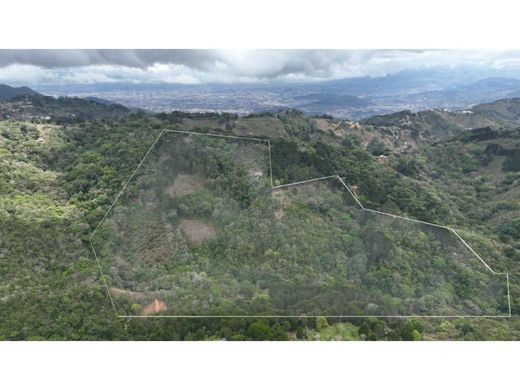 Ferme à Aserrí, Provincia de San José