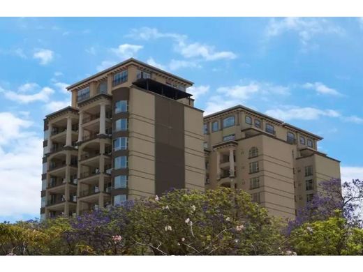 Daire San José, Cantón de San José