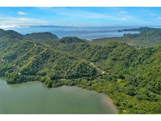 Paquera, Cantón de Puntarenasの土地