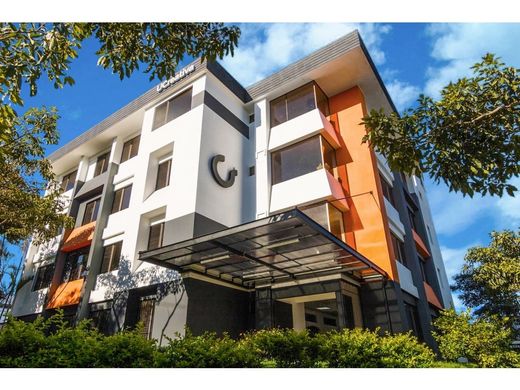 ‏בניין ב  סן חוזה, Cantón de San José