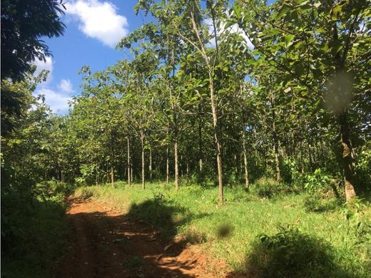 Terreno en Los Chiles, Provincia de Alajuela