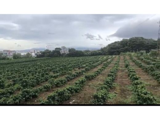 Участок, San Pablo, Provincia de Heredia