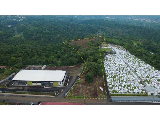 Boerderij in Naranjo, Provincia de Alajuela