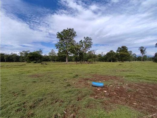 Grundstück in Sarapiquí, Provincia de Heredia
