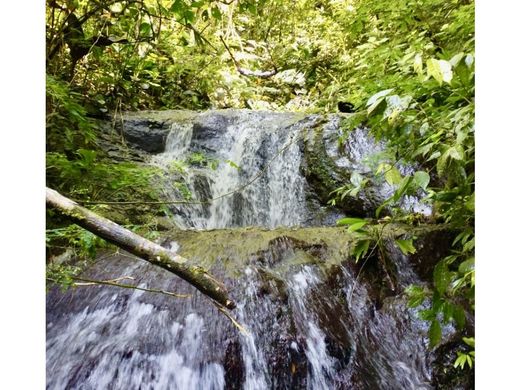 Rustik ya da çiftlik Osa, Provincia de Puntarenas