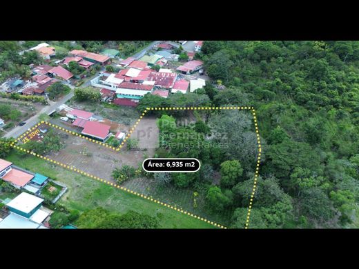 Terrain à Palmares, Provincia de Alajuela