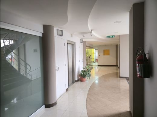 Ofis San José, Cantón de San José