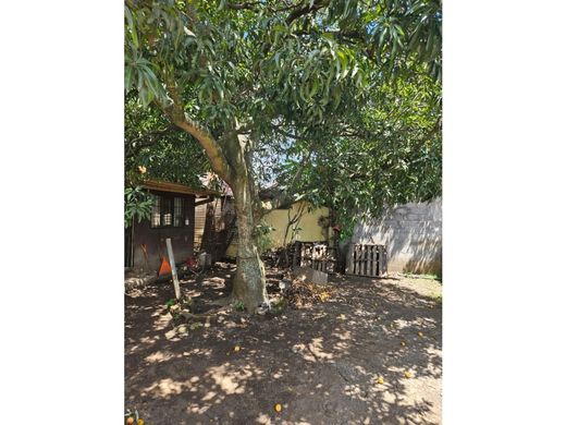 토지 / Santa Ana, Provincia de San José