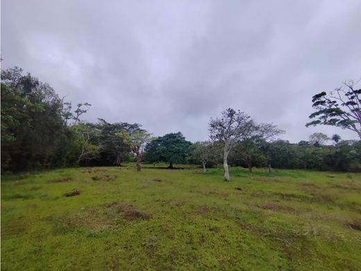 Boerderij in Palmares, Provincia de Alajuela